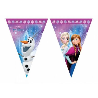 Flaggbanderoll Frost / Frozen polarsken