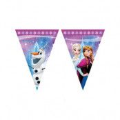 Disney Frozen Northern Lights Flaggirlang